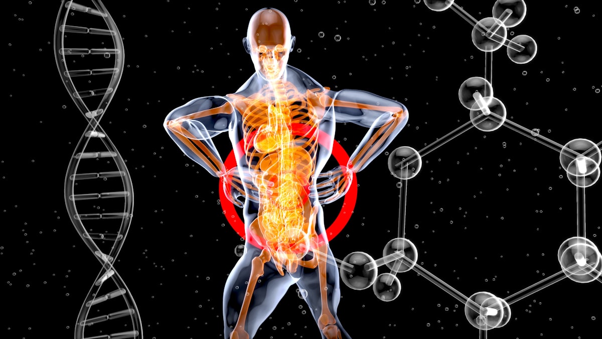 Knee joint support with collagen supplements